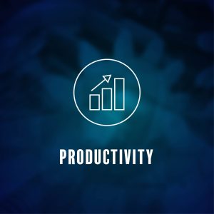 Productivity 